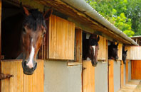 free Llangolman stable construction quotes